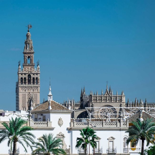 pexels-jose-maldonado-diaz-789194194-25226076