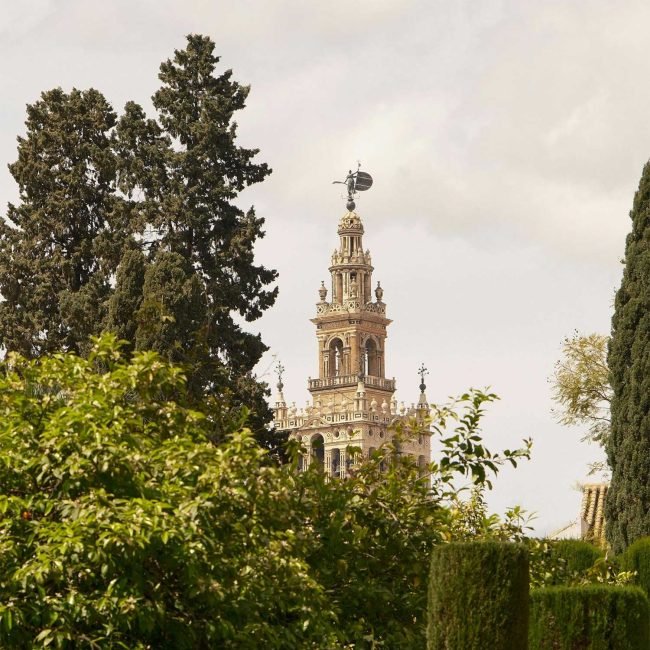 pexels-ozge-130172939-32080836